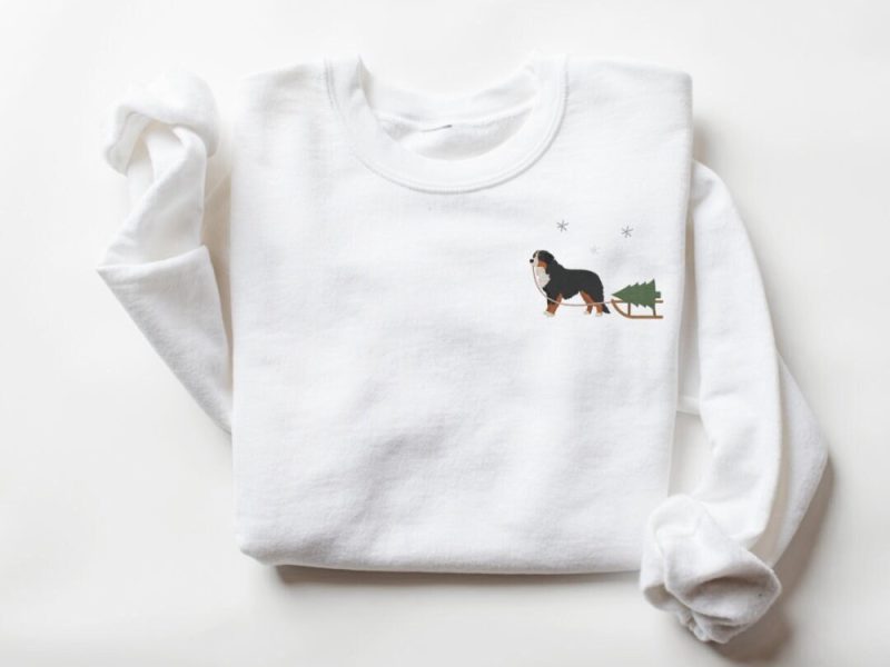 Embroidered Sweatshirt