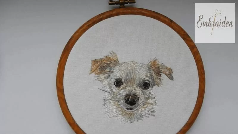 Custom Dog Embroidered Sweatshirt Personalization and Uniqueness