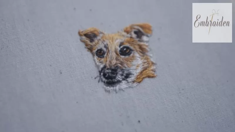 meaning of a custom embroidered dog sweatshirt